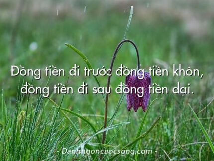 Đồng tiền đi trước đồng tiền khôn, đồng tiền đi sau đồng tiền dại.