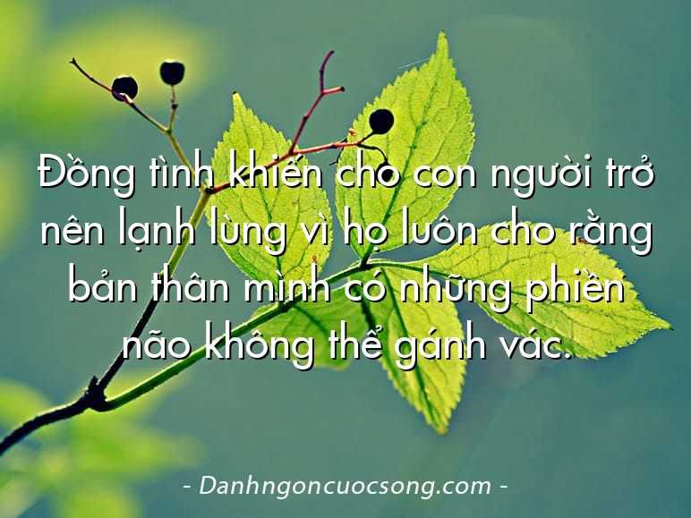 Đồng tình khiến cho con người trở nên lạnh lùng vì họ luôn cho rằng bản thân mình có những phiền não không thể gánh vác.
