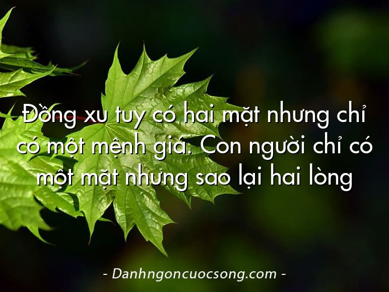 Đồng xu tuy có hai mặt nhưng chỉ có một mệnh giá. Con người chỉ có một mặt nhưng sao lại hai lòng