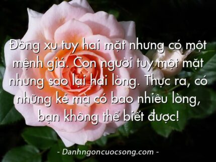 Đồng xu tuy hai mặt nhưng có một mệnh giá. Con người tuy một mặt nhưng sao lại hai lòng. Thực ra, có những kẻ mà có bao nhiêu lòng, bạn không thể biết được!