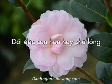 Dốt đặc còn hơn hay chữ lỏng