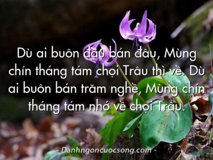 Dù ai buôn đâu bán đâu, Mùng chín tháng tám chọi Trâu thì về. Dù ai buôn bán trăm nghề, Mùng chín tháng tám nhớ về chọi Trâu.