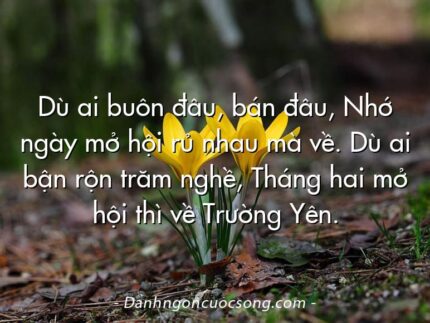 Dù ai buôn đâu, bán đâu, Nhớ ngày mở hội rủ nhau mà về. Dù ai bận rộn trăm nghề, Tháng hai mở hội thì về Trường Yên.