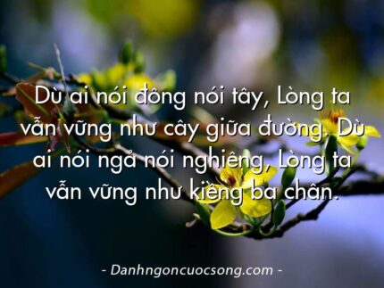 Dù ai nói đông nói tây, Lòng ta vẫn vững như cây giữa đường. Dù ai nói ngả nói nghiêng, Lòng ta vẫn vững như kiềng ba chân.