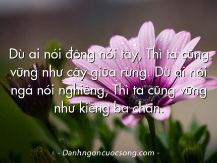 Dù ai nói đông nói tây, Thì ta cũng vững như cây giữa rừng. Dù ai nói ngả nói nghiêng, Thì ta cũng vững như kiềng ba chân.