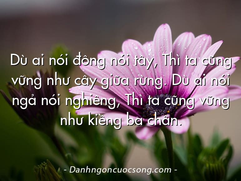 Dù ai nói đông nói tây, Thì ta cũng vững như cây giữa rừng. Dù ai nói ngả nói nghiêng, Thì ta cũng vững như kiềng ba chân.
