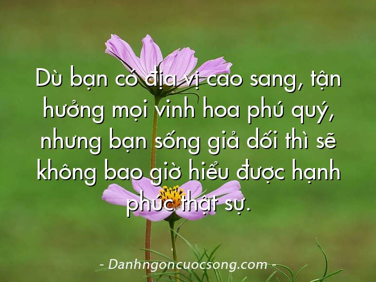 Dù bạn có địa vị cao sang, tận hưởng mọi vinh hoa phú quý, nhưng bạn sống giả dối thì sẽ không bao giờ hiểu được hạnh phúc thật sự.