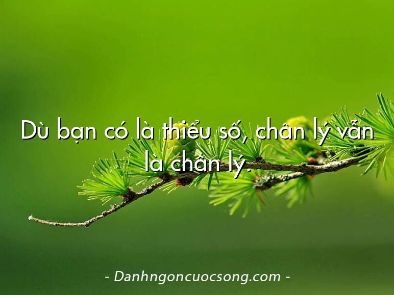 Dù bạn có là thiểu số, chân lý vẫn là chân lý.