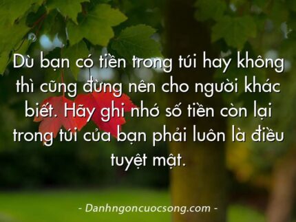 Dù bạn có tiền trong túi hay không thì cũng đừng nên cho người khác biết. Hãy ghi nhớ số tiền còn lại trong túi của bạn phải luôn là điều tuyệt mật.