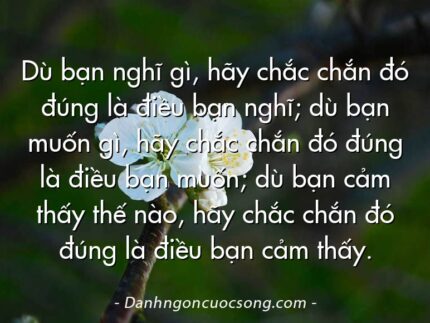 Dù bạn nghĩ gì, hãy chắc chắn đó đúng là điều bạn nghĩ; dù bạn muốn gì, hãy chắc chắn đó đúng là điều bạn muốn; dù bạn cảm thấy thế nào, hãy chắc chắn đó đúng là điều bạn cảm thấy.