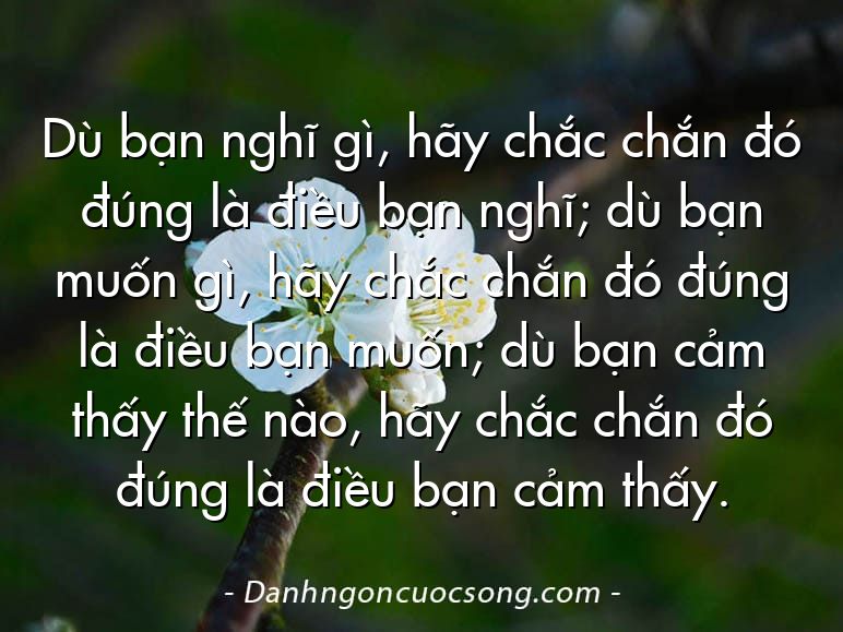 Dù bạn nghĩ gì, hãy chắc chắn đó đúng là điều bạn nghĩ; dù bạn muốn gì, hãy chắc chắn đó đúng là điều bạn muốn; dù bạn cảm thấy thế nào, hãy chắc chắn đó đúng là điều bạn cảm thấy.