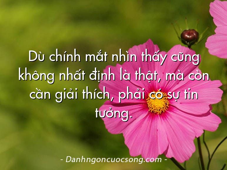 Dù chính mắt nhìn thấy cũng không nhất định là thật, mà còn cần giải thích, phải có sự tin tưởng.