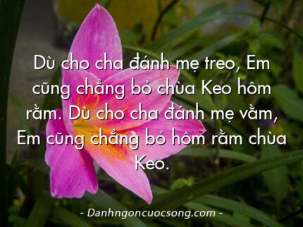 Dù cho cha đánh mẹ treo, Em cũng chẳng bỏ chùa Keo hôm rằm. Dù cho cha đánh mẹ vằm, Em cũng chẳng bỏ hôm rằm chùa Keo.
