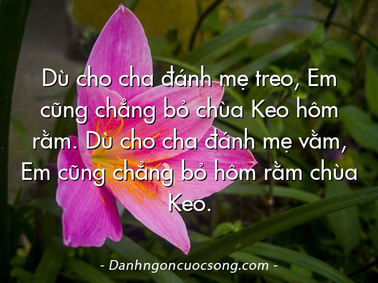 Dù cho cha đánh mẹ treo, Em cũng chẳng bỏ chùa Keo hôm rằm. Dù cho cha đánh mẹ vằm, Em cũng chẳng bỏ hôm rằm chùa Keo.
