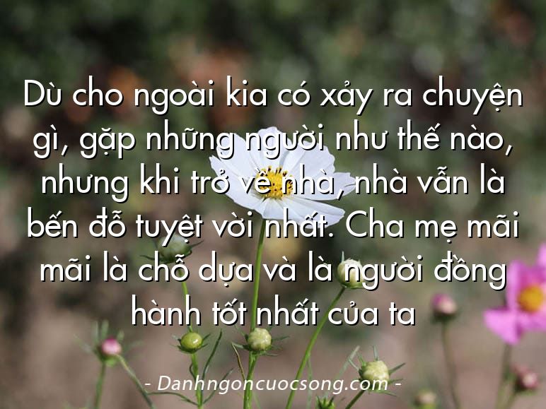 Dù cho ngoài kia có xảy ra chuyện gì, gặp những người như thế nào, nhưng khi trở về nhà, nhà vẫn là bến đỗ tuyệt vời nhất. Cha mẹ mãi mãi là chỗ dựa và là người đồng hành tốt nhất của ta