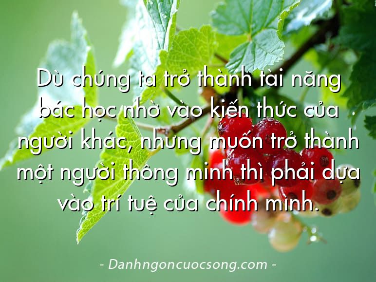 Dù chúng ta trở thành tài năng bác học nhờ vào kiến thức của người khác, nhưng muốn trở thành một người thông minh thì phải dựa vào trí tuệ của chính mình.