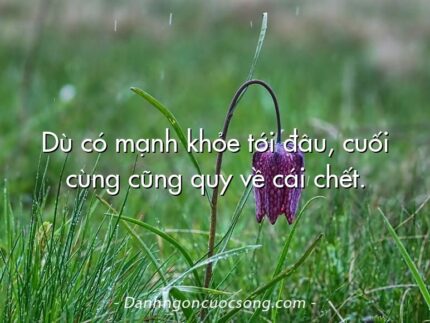 Dù có mạnh khỏe tới đâu, cuối cùng cũng quy về cái chết.