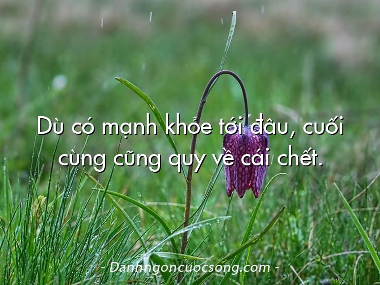 Dù có mạnh khỏe tới đâu, cuối cùng cũng quy về cái chết.