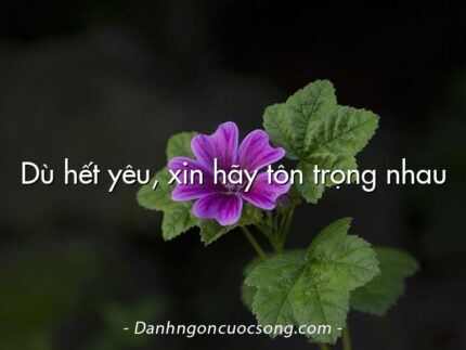 Dù hết yêu, xin hãy tôn trọng nhau