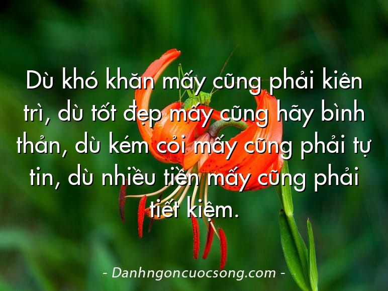 Dù khó khăn mấy cũng phải kiên trì, dù tốt đẹp mấy cũng hãy bình thản, dù kém cỏi mấy cũng phải tự tin, dù nhiều tiền mấy cũng phải tiết kiệm.