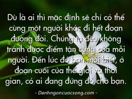 Dù là ai thì mặc định sẽ chỉ có thể cùng một người khác đi hết đoạn đường đời. Chúng ta đều không tránh được điểm tận cùng của mỗi người. Đến lúc đó bạn mới biết, ở đoạn cuối của thế giới và thời gian, có ai đang đứng đó chờ bạn.