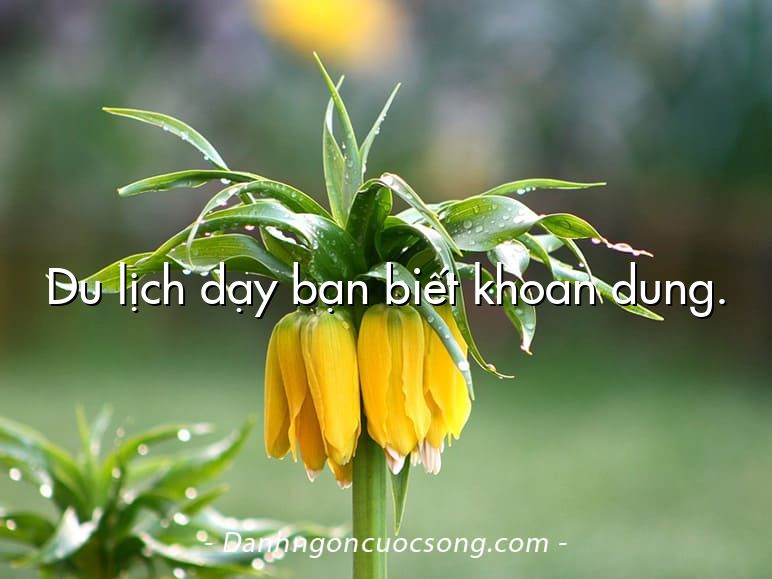 Du lịch dạy bạn biết khoan dung.