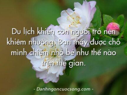 Du lịch khiến con người trở nên khiêm nhường. Bạn thấy được chỗ mình chiếm nhỏ bé như thế nào trên thế gian.