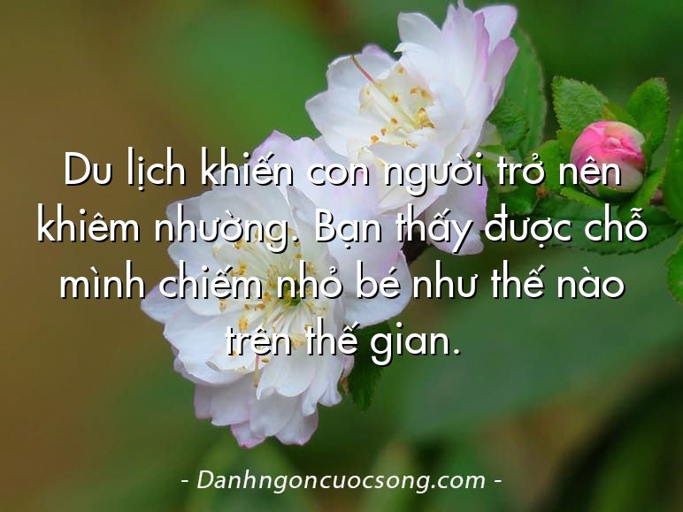 Du lịch khiến con người trở nên khiêm nhường. Bạn thấy được chỗ mình chiếm nhỏ bé như thế nào trên thế gian.