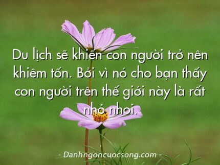 Du lịch sẽ khiến con người trở nên khiêm tốn. Bởi vì nó cho bạn thấy con người trên thế giới này là rất nhỏ nhoi.