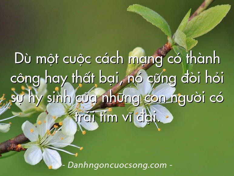 Dù một cuộc cách mạng có thành công hay thất bại, nó cũng đòi hỏi sự hy sinh của những con người có trái tim vĩ đại.