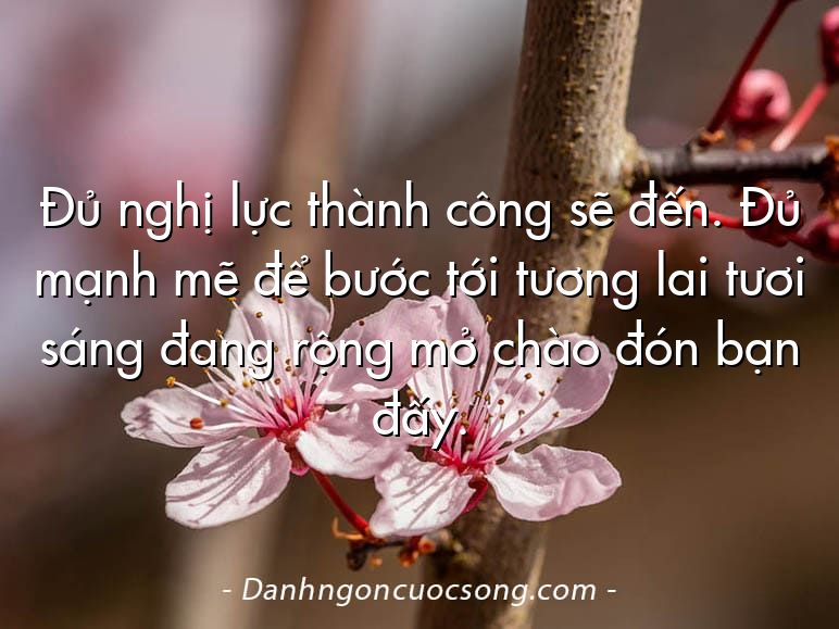 Đủ nghị lực thành công sẽ đến. Đủ mạnh mẽ để bước tới tương lai tươi sáng đang rộng mở chào đón bạn đấy.