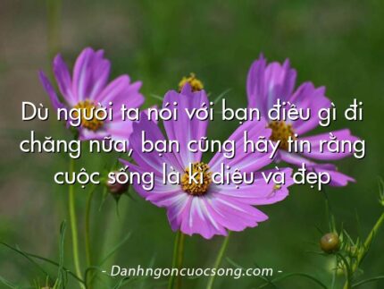Dù người ta nói với bạn điều gì đi chăng nữa, bạn cũng hãy tin rằng cuộc sống là kì diệu và đẹp