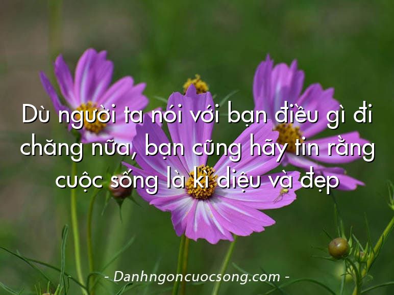 Dù người ta nói với bạn điều gì đi chăng nữa, bạn cũng hãy tin rằng cuộc sống là kì diệu và đẹp