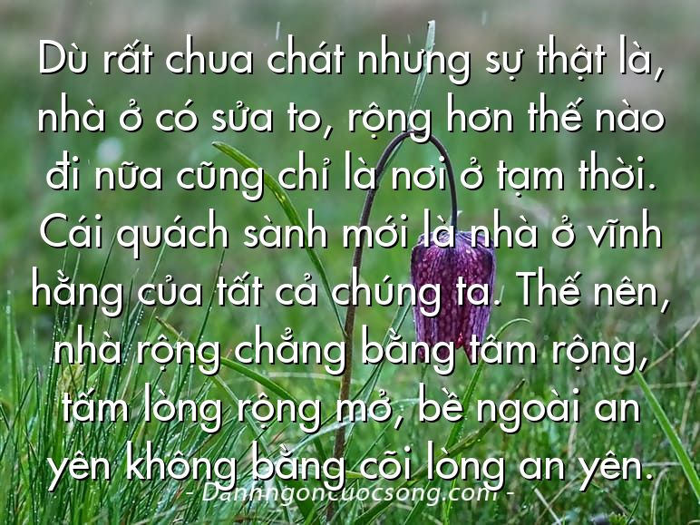 Dù rất chua chát nhưng sự thật là, nhà ở có sửa to, rộng hơn thế nào đi nữa cũng chỉ là nơi ở tạm thời. Cái quách sành mới là nhà ở vĩnh hằng của tất cả chúng ta. Thế nên, nhà rộng chẳng bằng tâm rộng, tấm lòng rộng mở, bề ngoài an yên không bằng cõi lòng an yên.