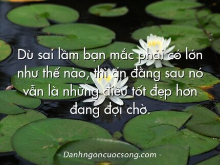 Dù sai lầm bạn mắc phải có lớn như thế nào, thì ẩn đằng sau nó vẫn là những điều tốt đẹp hơn đang đợi chờ.
