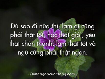 Dù sao đi nữa thì, làm gì cũng phải thật tốt, học thật giỏi, yêu thật chân thành, làm thật tốt và ngủ cũng phải thật ngon.