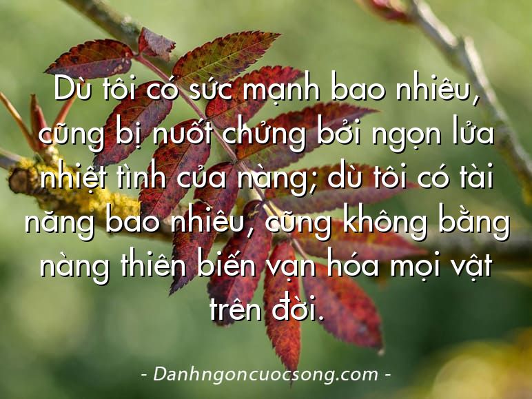 Dù tôi có sức mạnh bao nhiêu, cũng bị nuốt chửng bởi ngọn lửa nhiệt tình của nàng; dù tôi có tài năng bao nhiêu, cũng không bằng nàng thiên biến vạn hóa mọi vật trên đời.