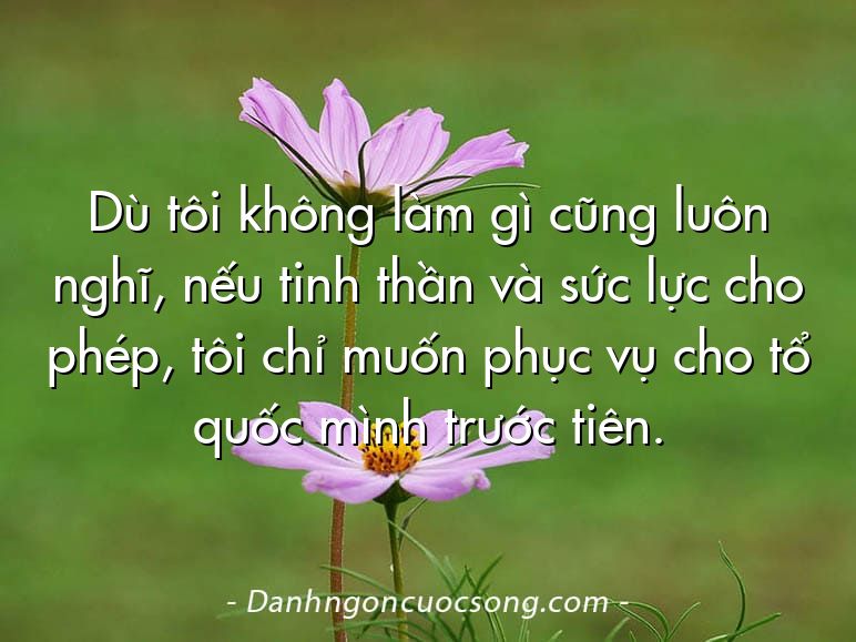 Dù tôi không làm gì cũng luôn nghĩ, nếu tinh thần và sức lực cho phép, tôi chỉ muốn phục vụ cho tổ quốc mình trước tiên.