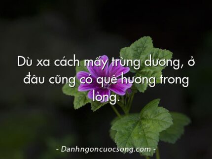 Dù xa cách mấy trùng dương, ở đâu cũng có quê hương trong lòng.