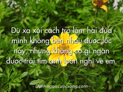 Dù xa xôi cách trở làm hai đứa mình không bên nhau được lúc này, nhưng không có gì ngăn được trái tim anh luôn nghĩ về em.