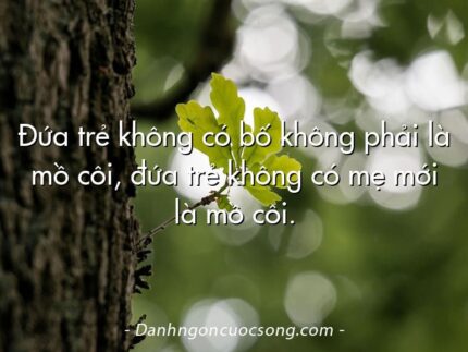 Đứa trẻ không có bố không phải là mồ côi, đứa trẻ không có mẹ mới là mồ côi.