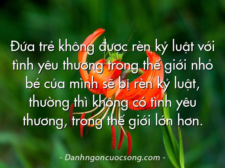 Đứa trẻ không được rèn kỷ luật với tình yêu thương trong thế giới nhỏ bé của mình sẽ bị rèn kỷ luật, thường thì không có tình yêu thương, trong thế giới lớn hơn.