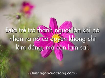 Đứa trẻ trở thành người lớn khi nó nhận ra nó có quyền không chỉ làm đúng, mà còn làm sai.