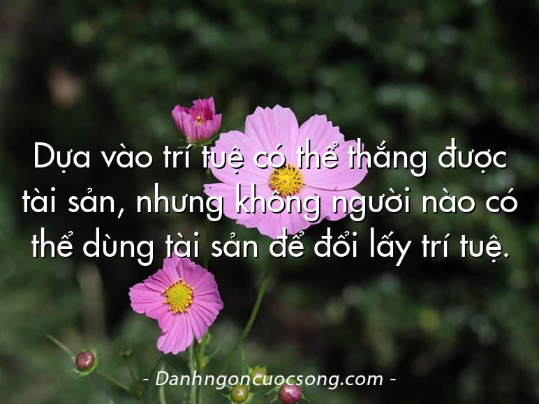 Dựa vào trí tuệ có thể thắng được tài sản, nhưng không người nào có thể dùng tài sản để đổi lấy trí tuệ.