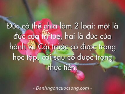 Đức có thể chia làm 2 loại: một là đức của trí tuệ, hai là đức của hành vi. Cái trước có được trong học tập, cái sau có được trong thực tiễn.