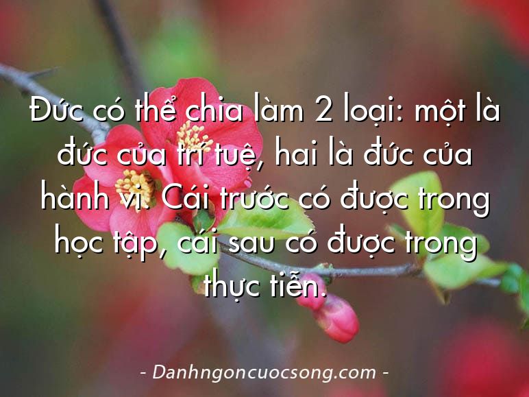 Đức có thể chia làm 2 loại: một là đức của trí tuệ, hai là đức của hành vi. Cái trước có được trong học tập, cái sau có được trong thực tiễn.