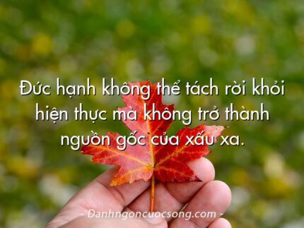 Đức hạnh không thể tách rời khỏi hiện thực mà không trở thành nguồn gốc của xấu xa.