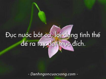 Đục nước bắt cá, lợi dụng tình thế để ra tay đạt mục đích.