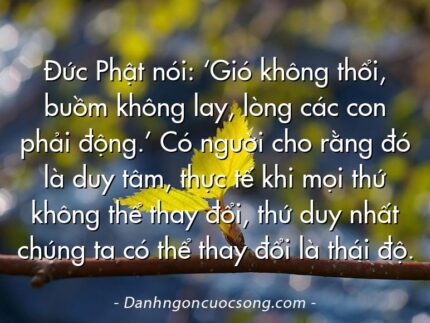 Đức Phật nói: ‘Gió không thổi, buồm không lay, lòng các con phải động.’ Có người cho rằng đó là duy tâm, thực tế khi mọi thứ không thể thay đổi, thứ duy nhất chúng ta có thể thay đổi là thái độ.
