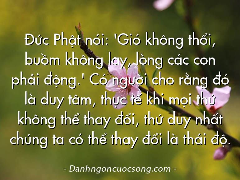 Đức Phật nói: 'Gió không thổi, buồm không lay, lòng các con phải động.' Có người cho rằng đó là duy tâm, thực tế khi mọi thứ không thể thay đổi, thứ duy nhất chúng ta có thể thay đổi là thái độ.